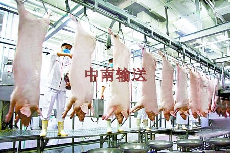 豬管軌屠宰生產線 豬管軌屠宰生產線